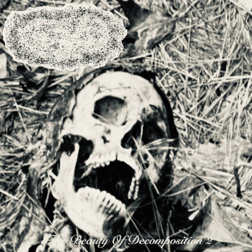 The Beauty of Decomposition 2